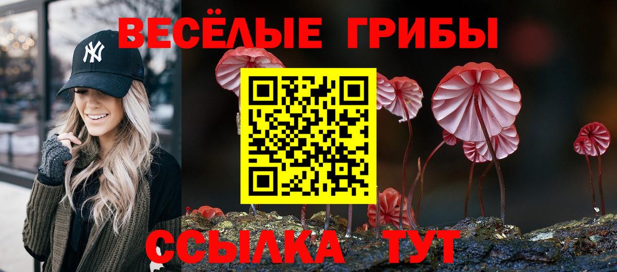 Псилоцибиновые грибы ЛСД Кирово-Чепецк