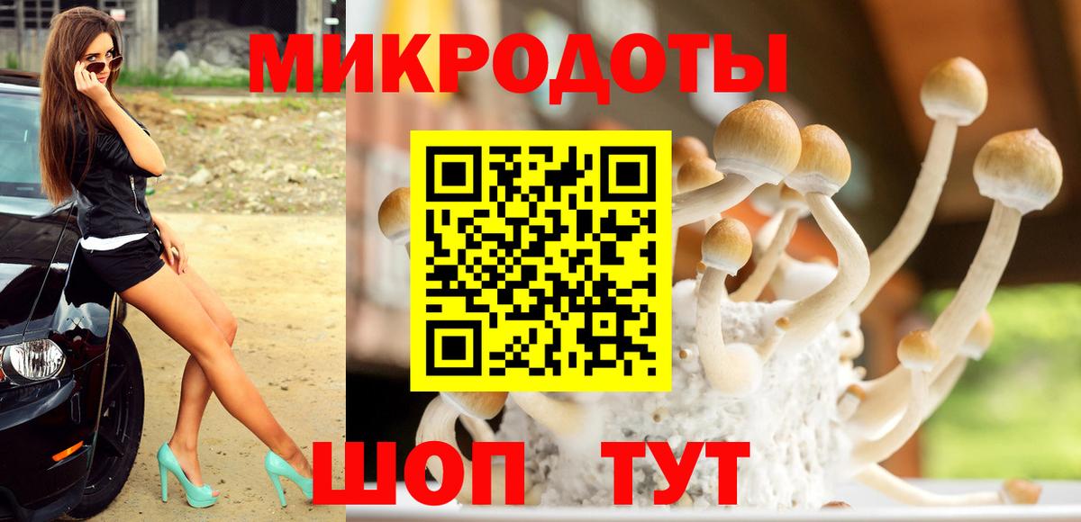 Кирово-Чепецк  Псилоцибиновые грибы Psilocybe  что такое наркотик  Вход с VPN 